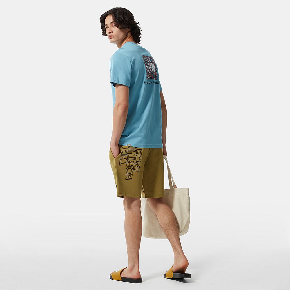 The North Face Shorts Mens Australia - The North Face Summer Green (KZT-376840)